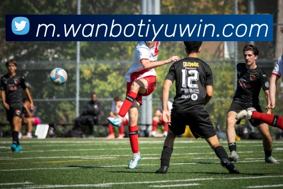 万博体育APP 封面图