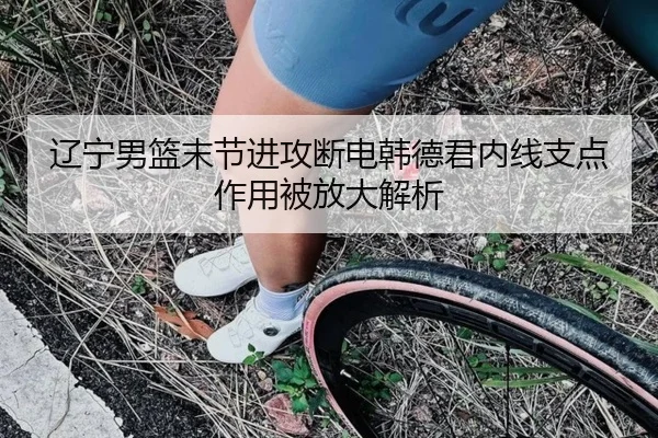 辽宁男篮末节进攻断电韩德君内线支点作用被放大解析（ManBetX）